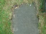 image of grave number 354287